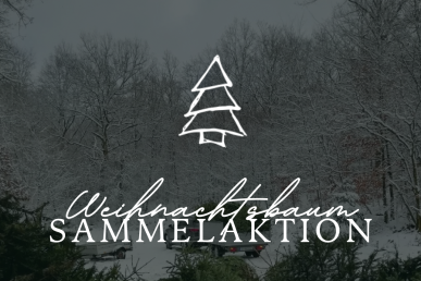 Alchen | B&uuml;hl, Ober-/Niederholzklau