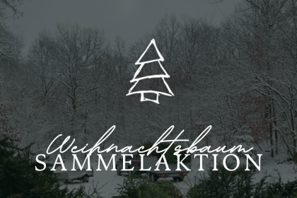 Weihnachtsbaumaktion 2026
