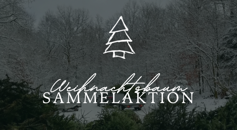 Alle Informationen Weihnachtsbaumsammelaktion 10.01.