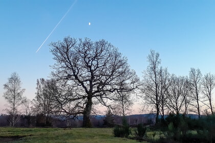 Trauerwanderung